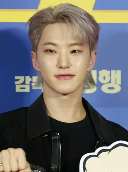 호시